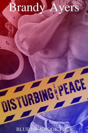Cover of the book Disturbing the Peace by Rebecca Rohman