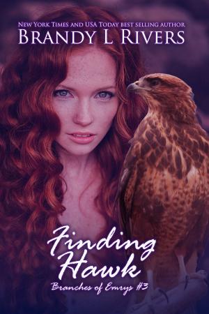 Cover of the book Finding Hawk by Brandy L Rivers