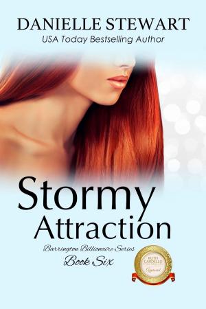 Cover of the book Stormy Attraction by Stina Lindenblatt