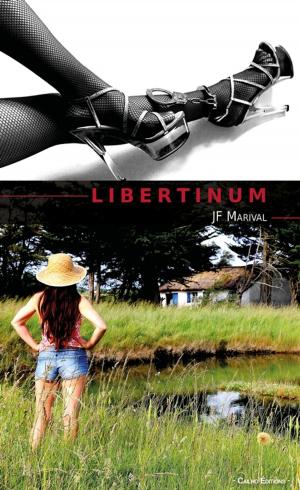 Cover of the book Libertinum by Michael Segedy
