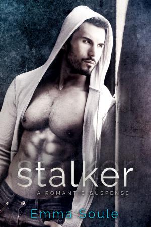 Cover of the book Stalker by April Henry
