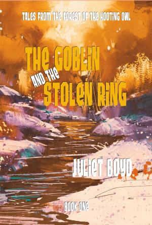 Cover of the book The Goblin and the Stolen Ring by Juliet Boyd