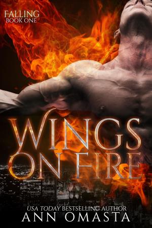 Cover of Wings on Fire ~ Part 1
