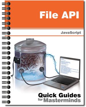 Book cover of File API