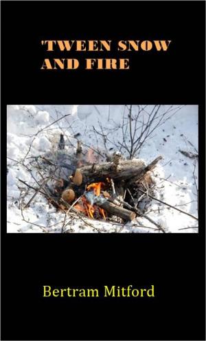 Cover of the book 'Tween Snow and Fire by Clarence E. Mulford