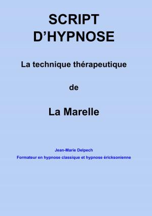 Cover of the book La technique thérapeutique de la Marelle by Emmanuel Winter