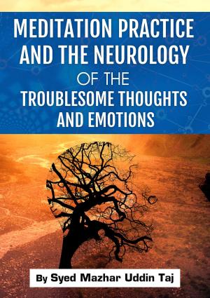 Book cover of Meditation Practice and the Neurology of the Troublesome Thoughts and Emotions