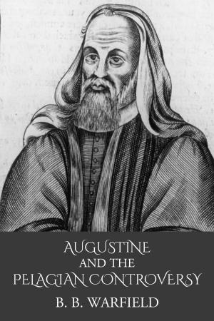 Book cover of Augustine and the Pelagian Heresy