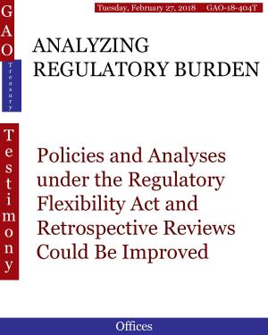 Cover of the book ANALYZING REGULATORY BURDEN by Hugues Dumont