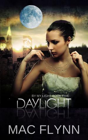 Cover of the book Daylight by Brenda Cheers