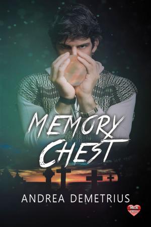 Cover of the book Memory Chest by J.P. Bowie