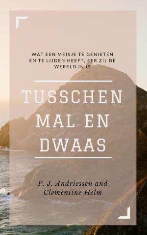 Cover of the book Tusschen mal en dwaas (Geïllustreerd) by Elizabeth Gaskell