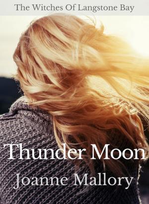 Cover of the book Thunder Moon by Amy Sumida
