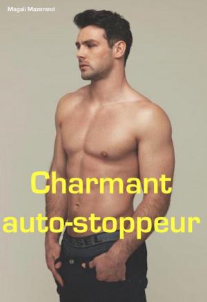Book cover of Charmant auto-stoppeur