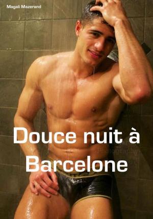 Book cover of Douce nuit à Barcelone