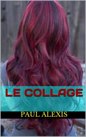 Cover of the book le collage by Frank Reliance