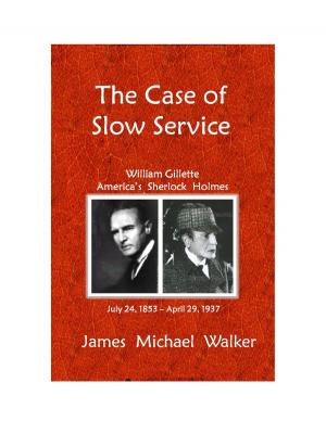 bigCover of the book The Case of Slow Service by 