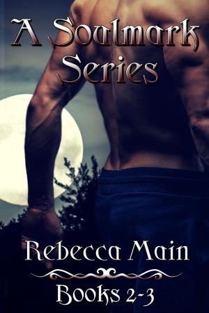 Cover of A Soulmark Series: Books 2-3