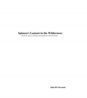 bigCover of the book Spinoza's Lament in the Wilderness by 