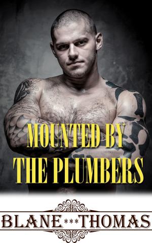 Cover of the book Mounted By The Plumbers by Becca Fanning