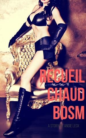 Cover of the book Recueil chaud BDSM (5 histoires) by Angie Leck