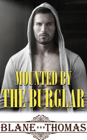 Cover of the book Mounted By The Burglar by E.Z. Pennington