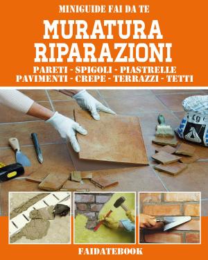 Book cover of Muratura Riparazioni
