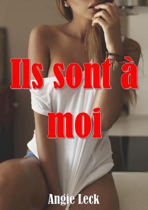 Cover of the book Ils sont à moi ! by Agathe Legrand