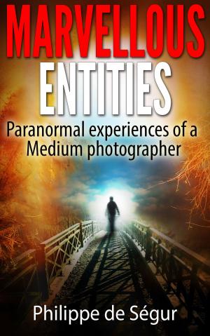 Cover of Marvellous Entities