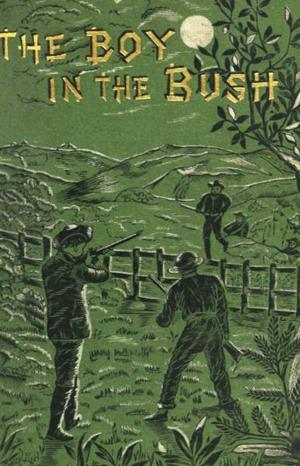 Cover of the book The Boy in the Bush by H. Irving Hancock