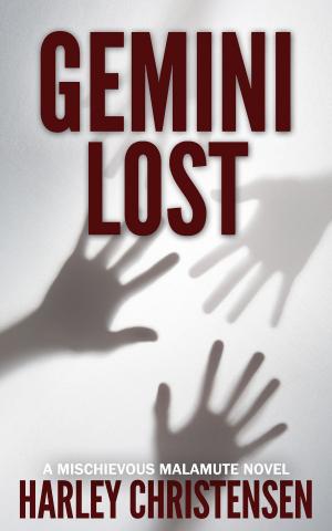 Book cover of Gemini Lost