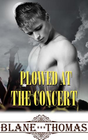 Cover of the book Plowed At The Concert by E.Z. Pennington