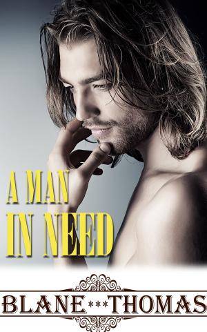Cover of the book A Man In Need by Elisa Artemide