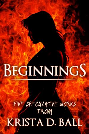 Cover of the book Beginnings by R.M. Plaiscia