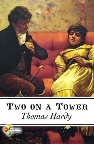 Cover of the book Two on a Tower by Émile Gaboriau