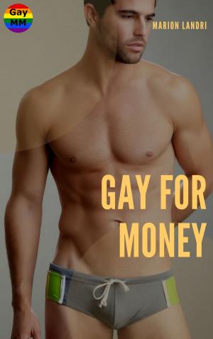 Cover of the book Gay for money by Marion Landri