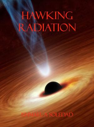 Cover of the book Hawking Radiation by Ariella Moon