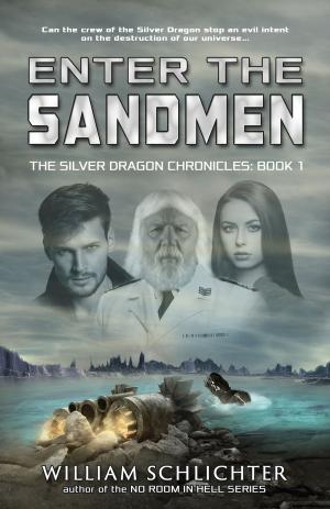 Book cover of Enter The Sandmen