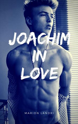 Book cover of Joachim In Love