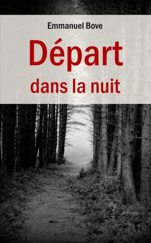 Book cover of Départ dans la nuit