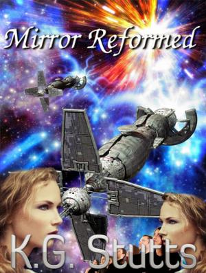 Book cover of Mirror Reformed