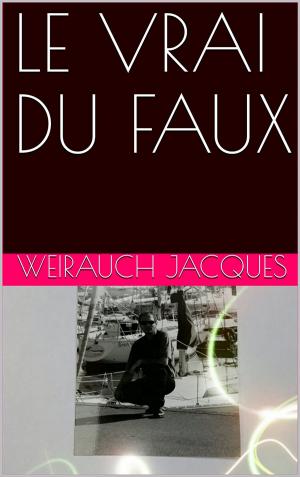 Book cover of LE VRAI DU FAUX