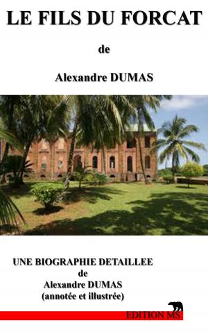 Book cover of LE FILS DU FORCAT