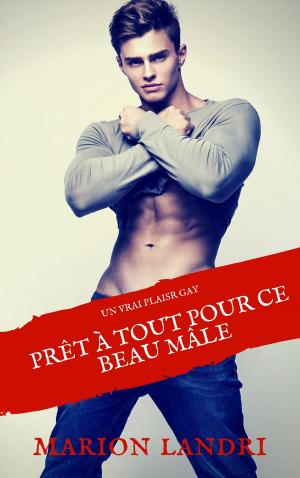 Cover of Prêt à tout pour ce beau mâle