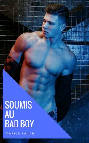 Cover of Soumis au bad boy