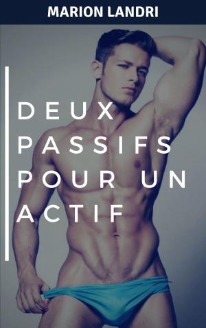 Cover of the book Deux passifs pour un actif by Mickael Lecomte