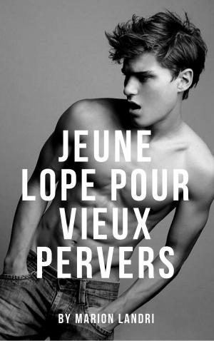 Cover of the book Jeune lope pour un vieux pervers by Léa Marlit