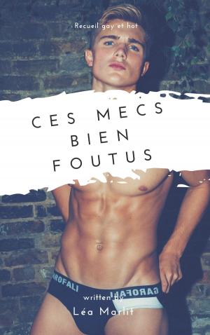 Cover of the book Ces mecs bien foutus by Sabrina J. Blake
