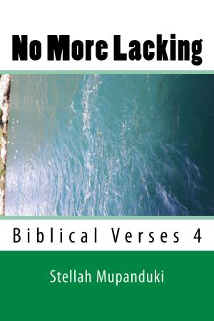 Book cover of No More Lacking