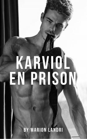 Cover of the book Karviol en prison by Suzy Ayers